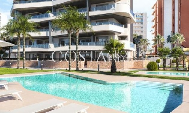 Apartment - New Build - Guardamar del Segura -
                Guardamar Del Segura