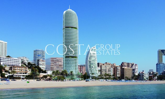 Apartments - Nowy budynek - Benidorm - Benidorm