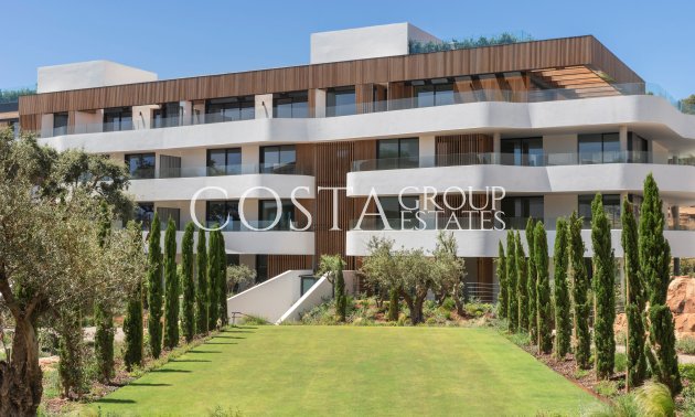 Apartments - Nowy budynek - Pueblo Nuevo -
                Pueblo Nuevo