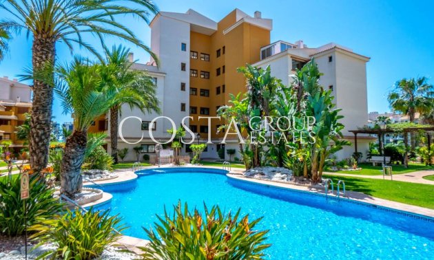 Apartments - Odsprzedaż - Punta Prima -
                Punta Prima