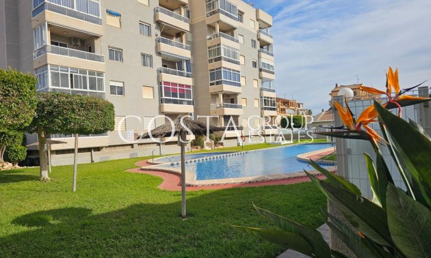 Apartments - Resale - Torrevieja - Torrevieja