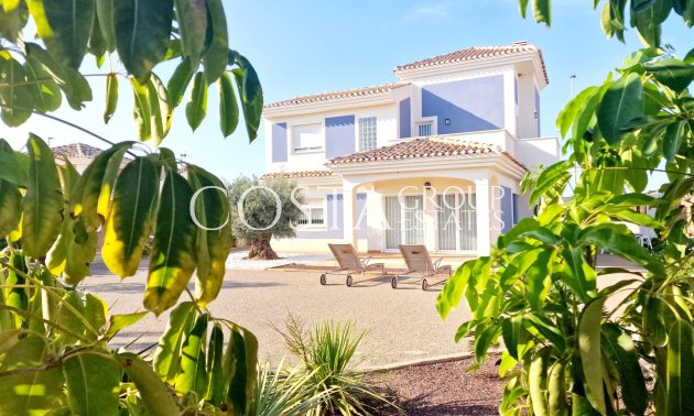 detached - Nowy budynek - Purias -
                Purias