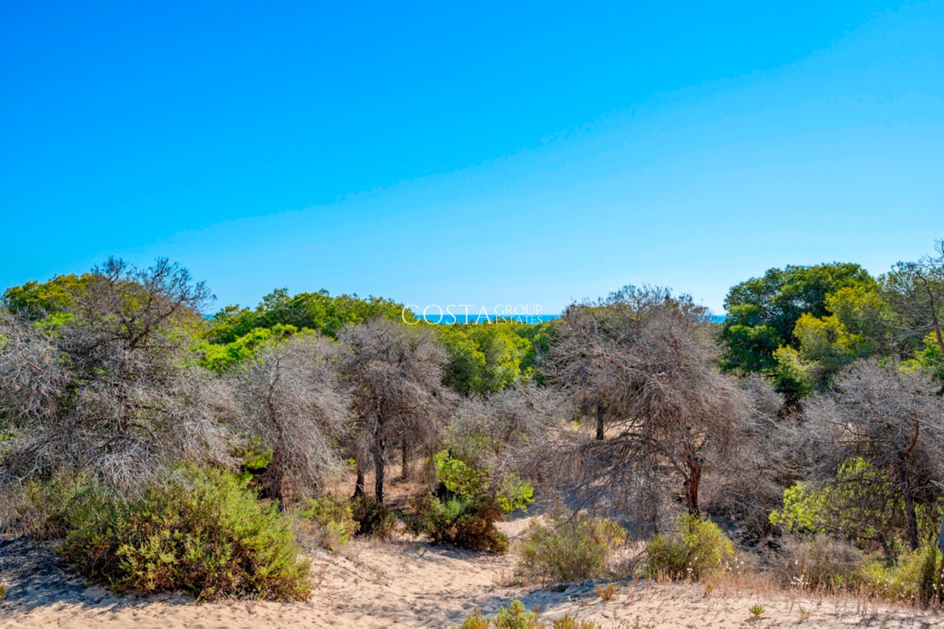 Herverkoop - Apartments -
Guardamar del Segura - Guardamar del Segura Centro
