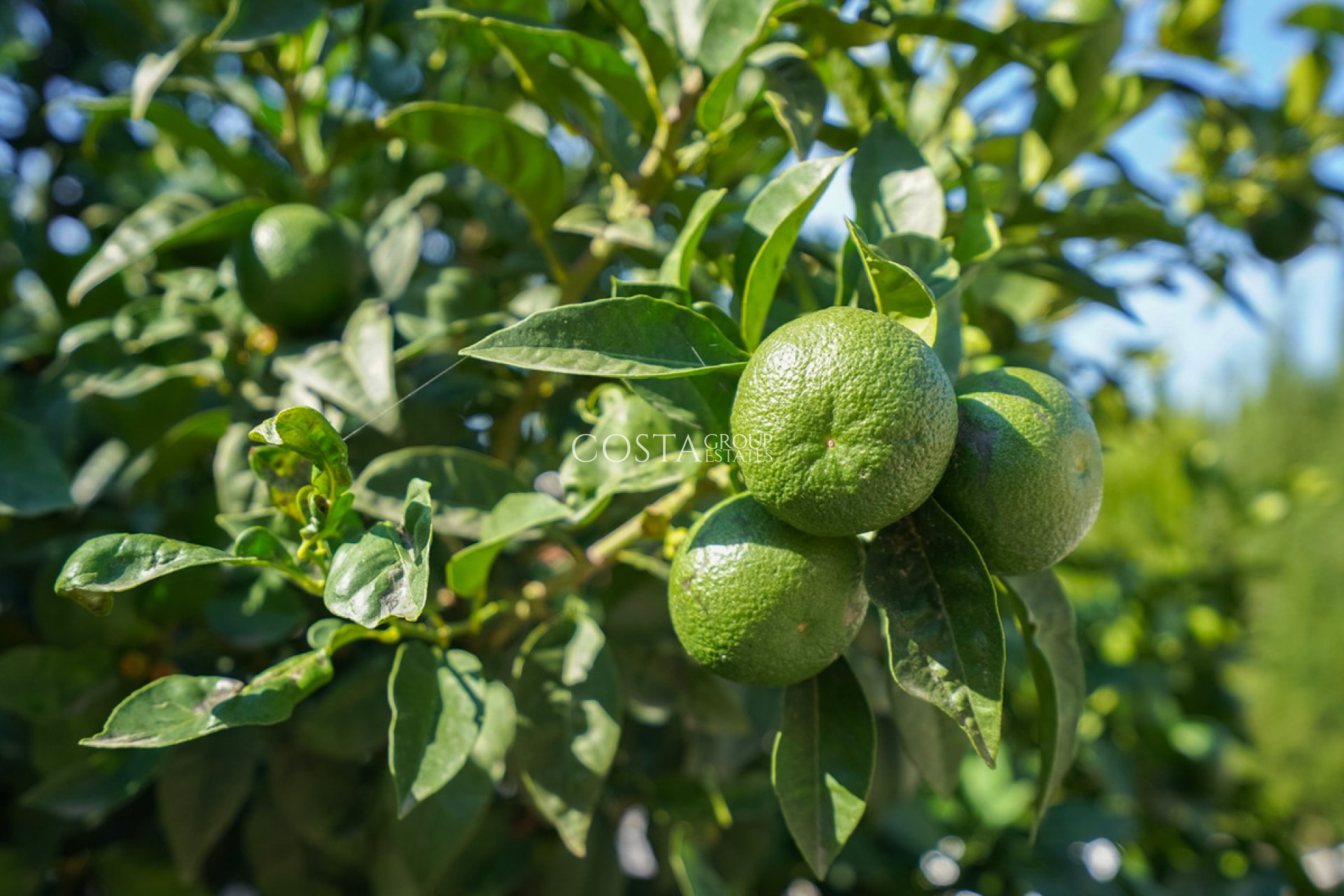Herverkoop - Villa -
Benissa - Benissa Centro