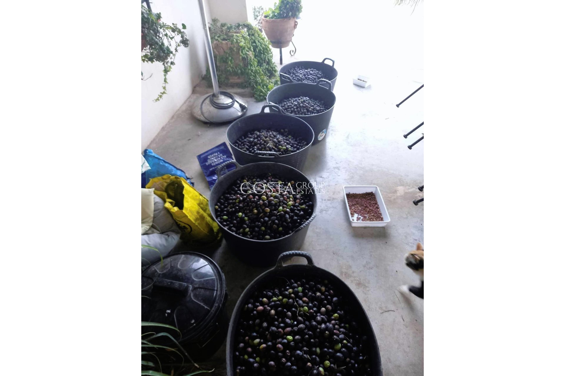 Herverkoop - Villa -
Dolores - Dolores Centro