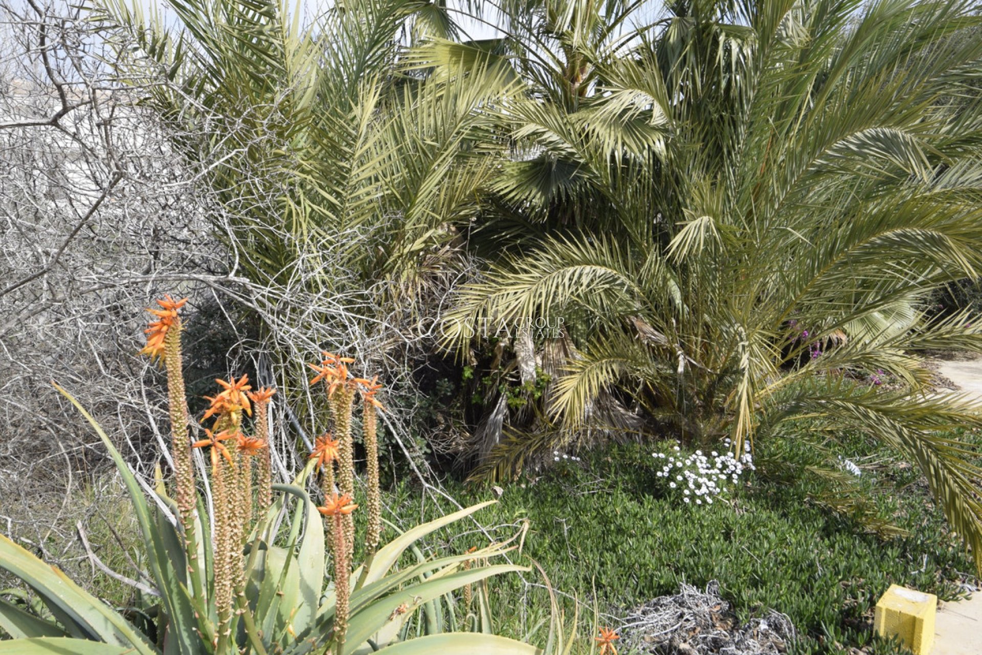 Herverkoop - Villa -
Formentera del Segura