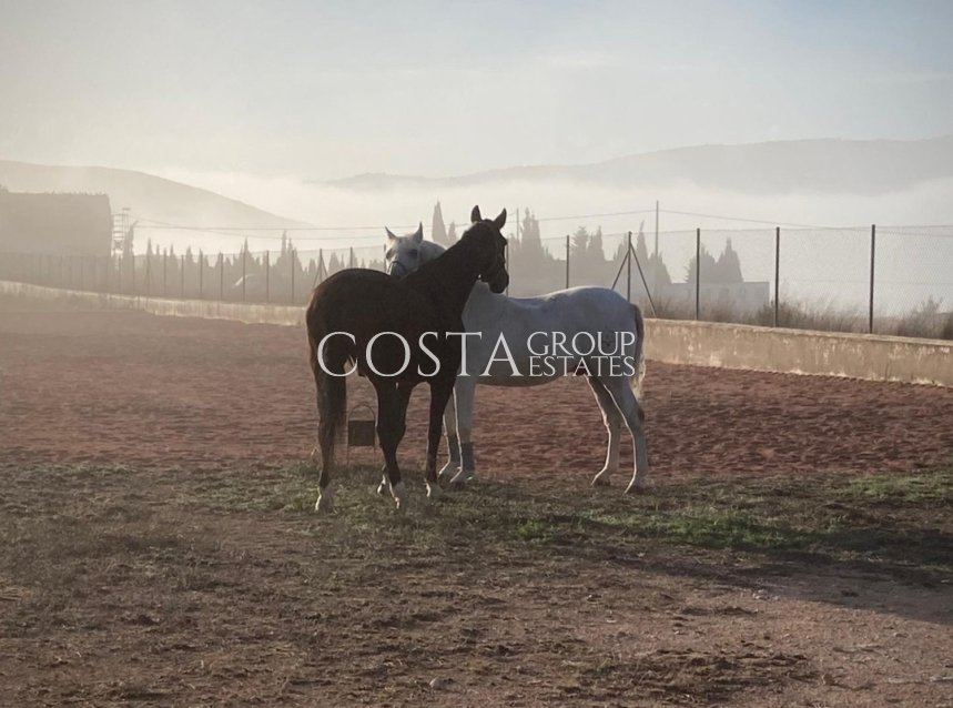 Herverkoop - Villa -
Jumilla - Torre del Rico