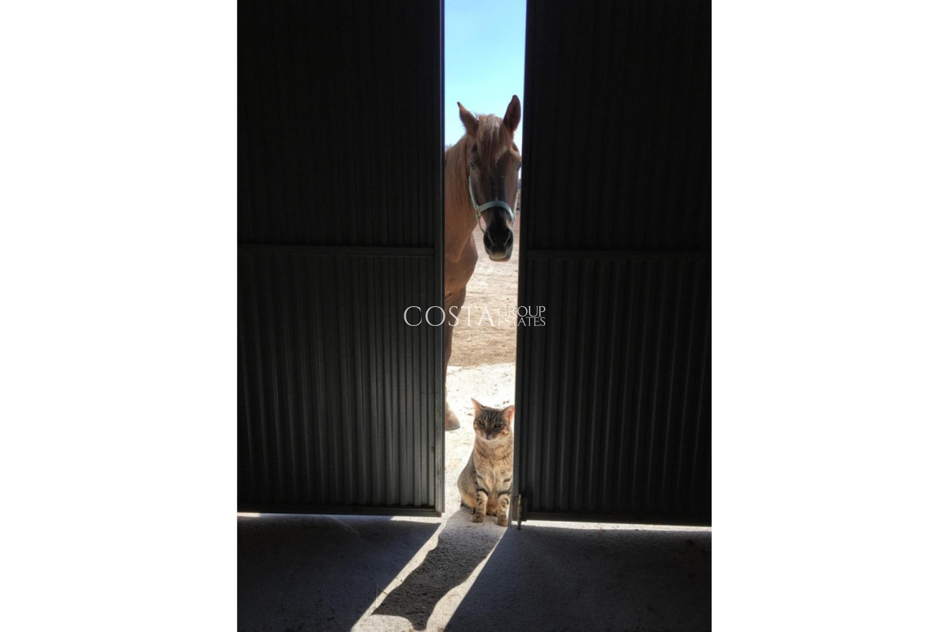 Herverkoop - Villa -
Jumilla - Torre del Rico