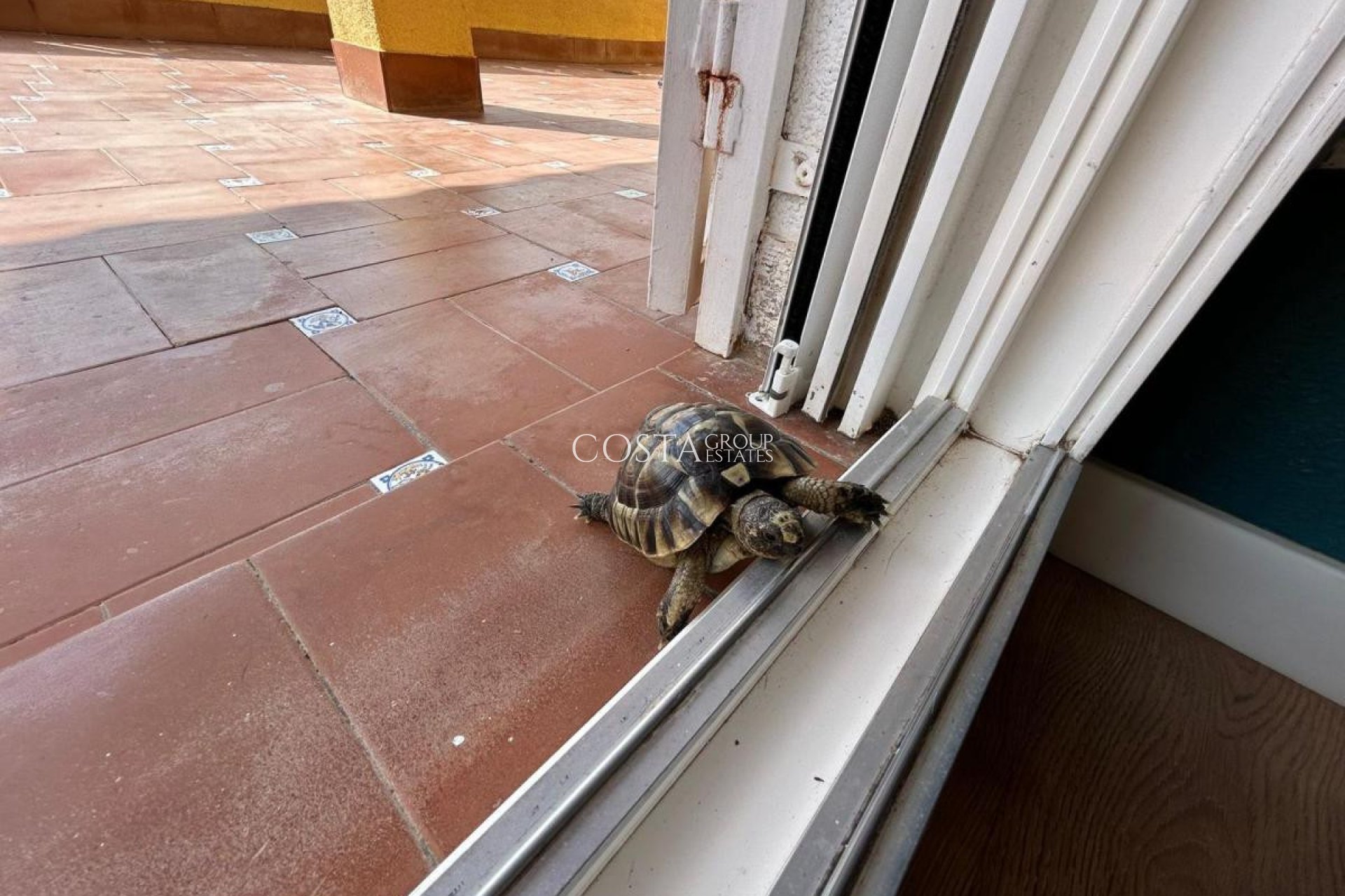 Herverkoop - Villa -
San Miguel de Salinas - San Miguel de Salinas Centro