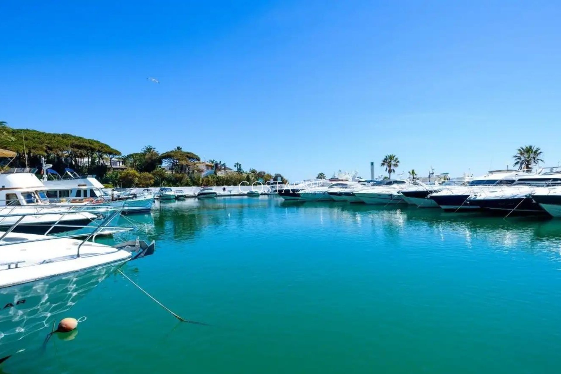 Neue Gebäude - Apartments -
Marbella - Cabopino Golf