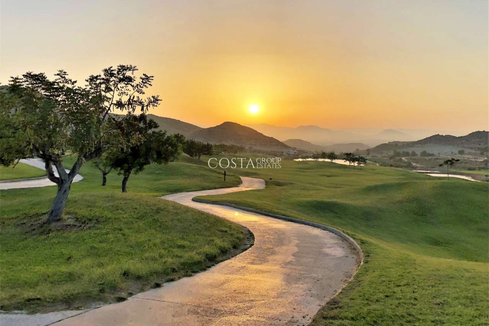 Neue Gebäude - Apartments -
Monforte del Cid