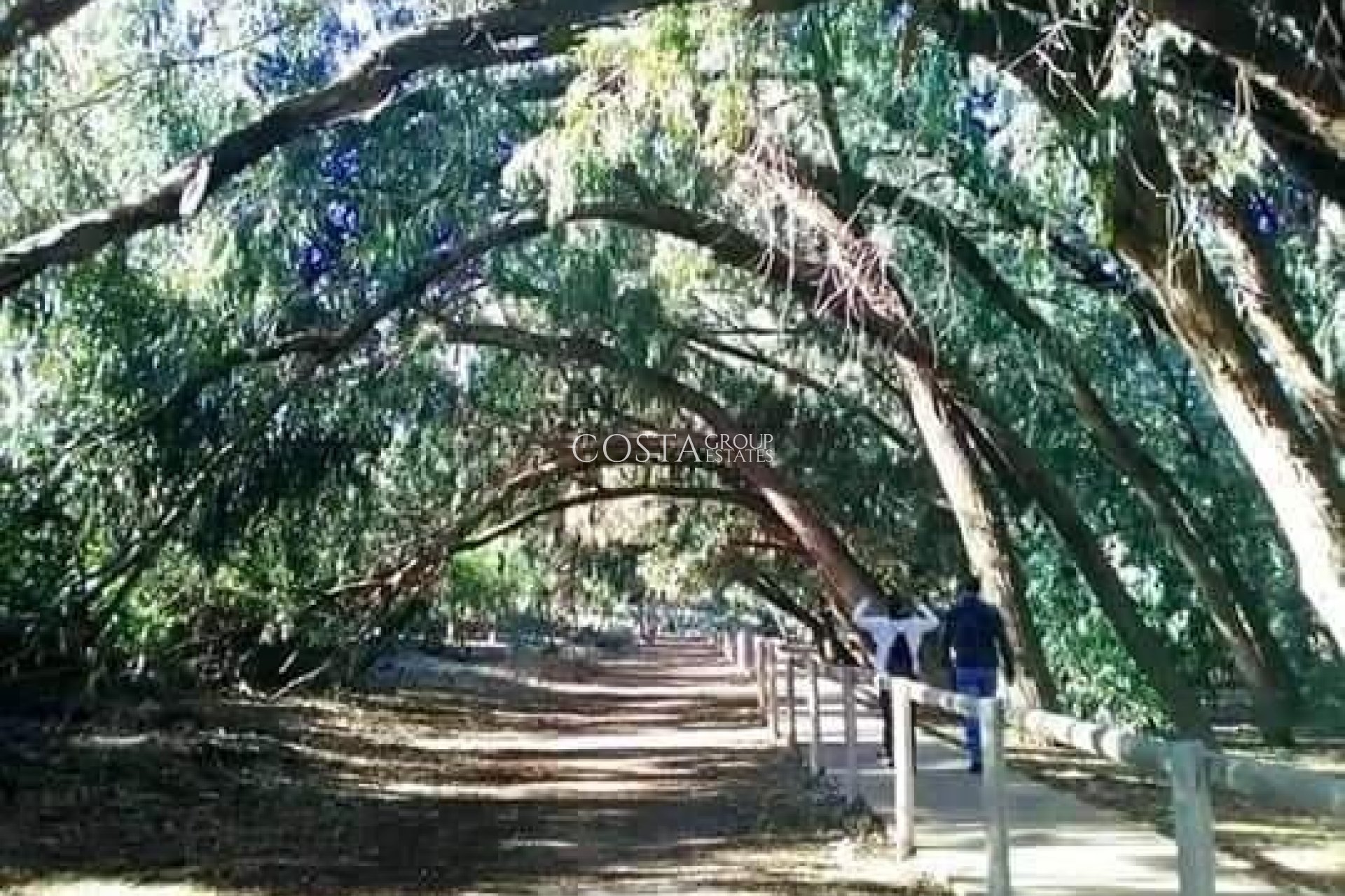 Neue Gebäude - Apartments -
Torrevieja - Altos del Sol