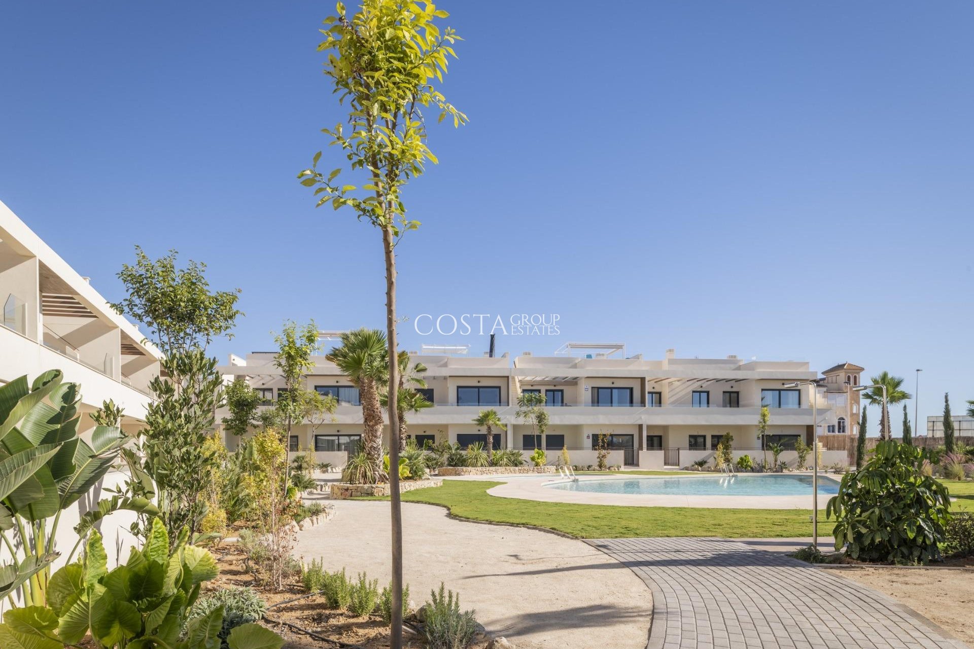 Neue Gebäude - Apartments -
Torrevieja - Villa Amalia