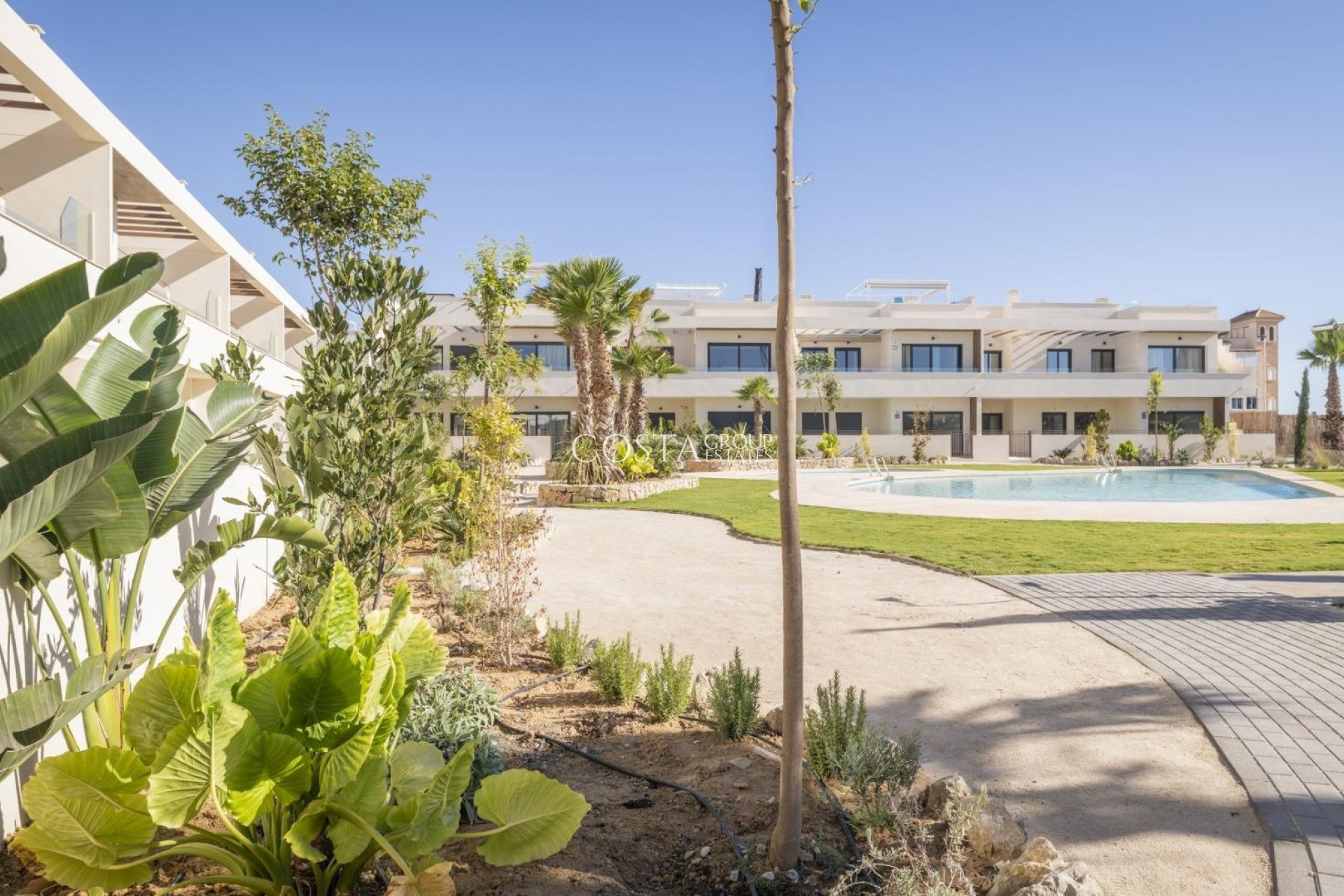 Neue Gebäude - Apartments -
Torrevieja - Villa Amalia