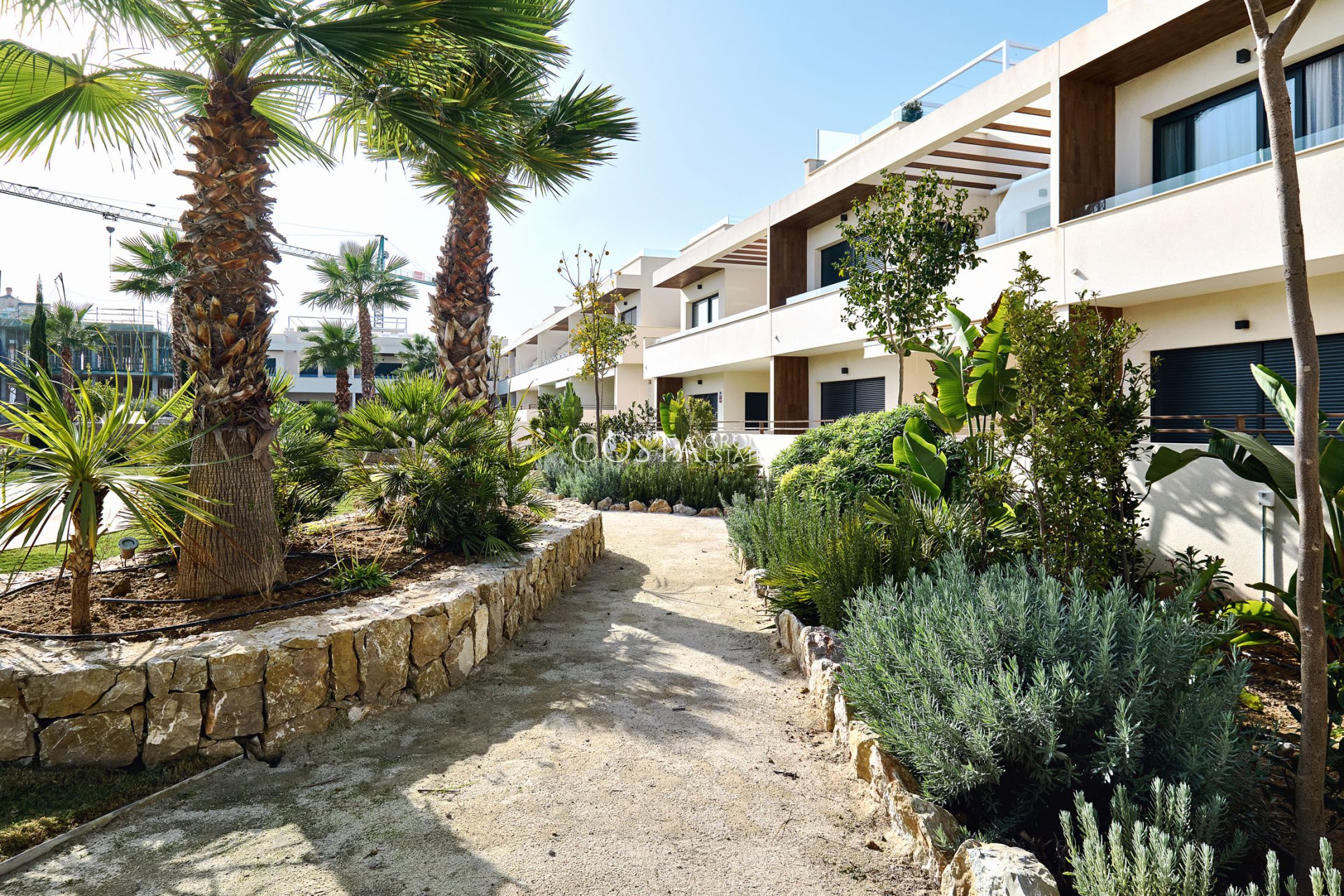 Neue Gebäude - Apartments -
Torrevieja