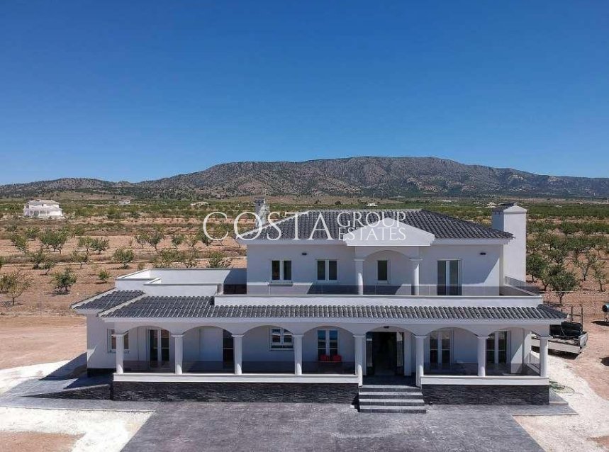 Neue Gebäude - Villa -
Pinoso