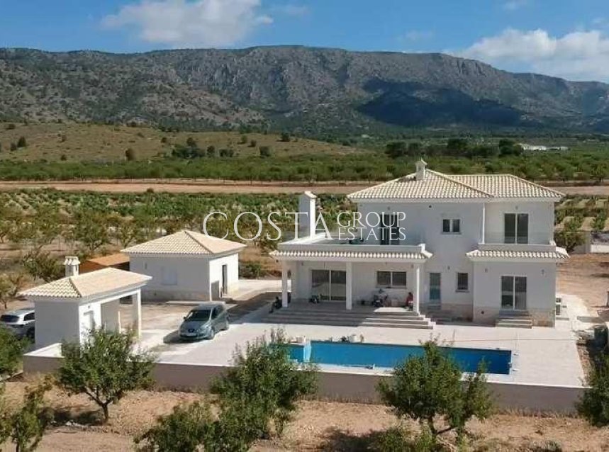 Neue Gebäude - Villa -
Pinoso