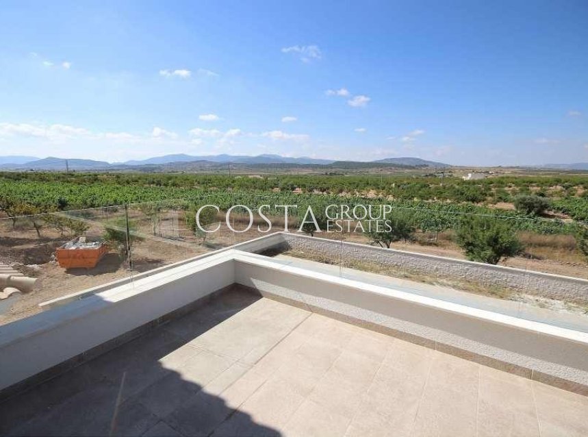 Neue Gebäude - Villa -
Pinoso