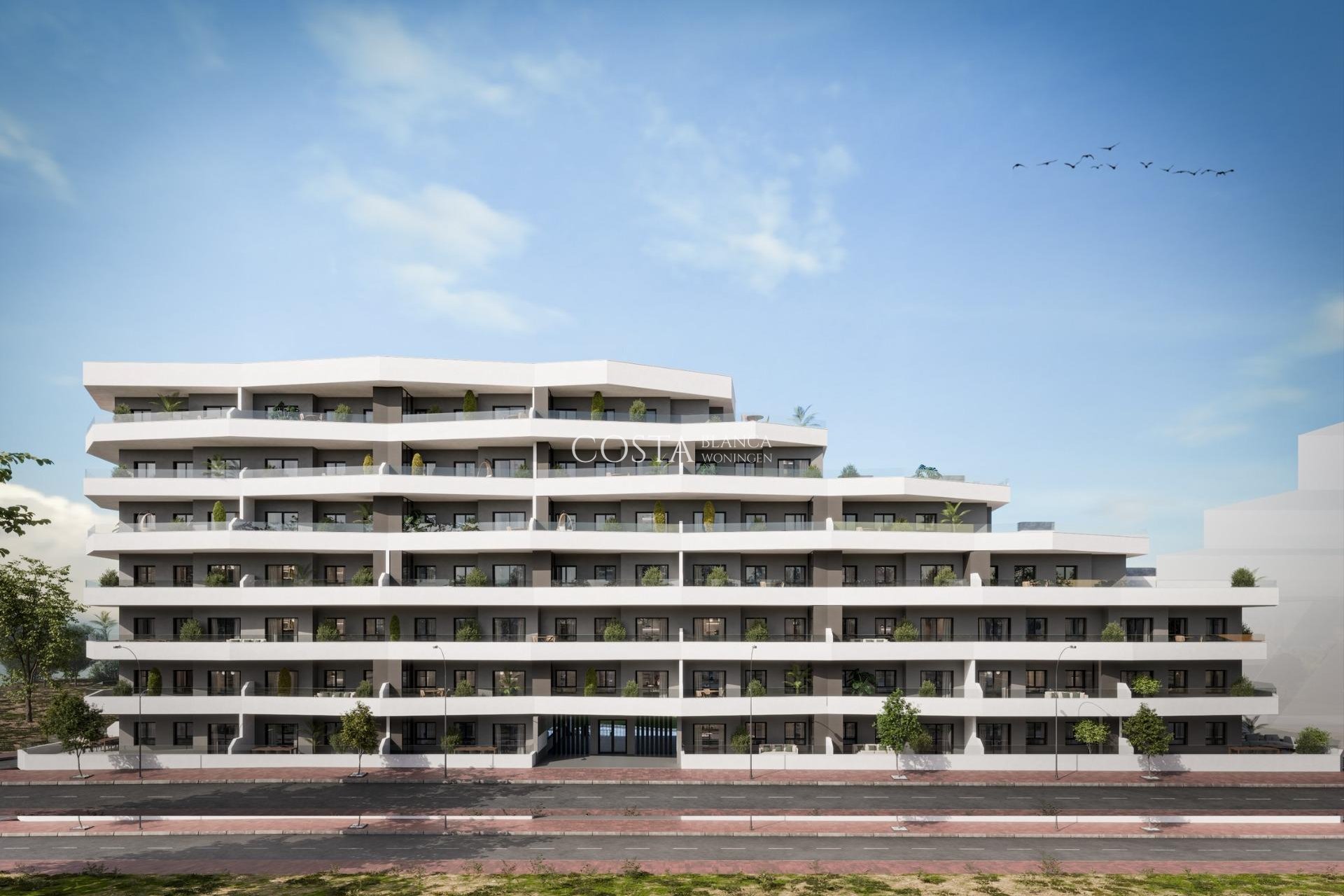 New Build - Apartment -
San Miguel de Salinas - San Miguel De Salinas