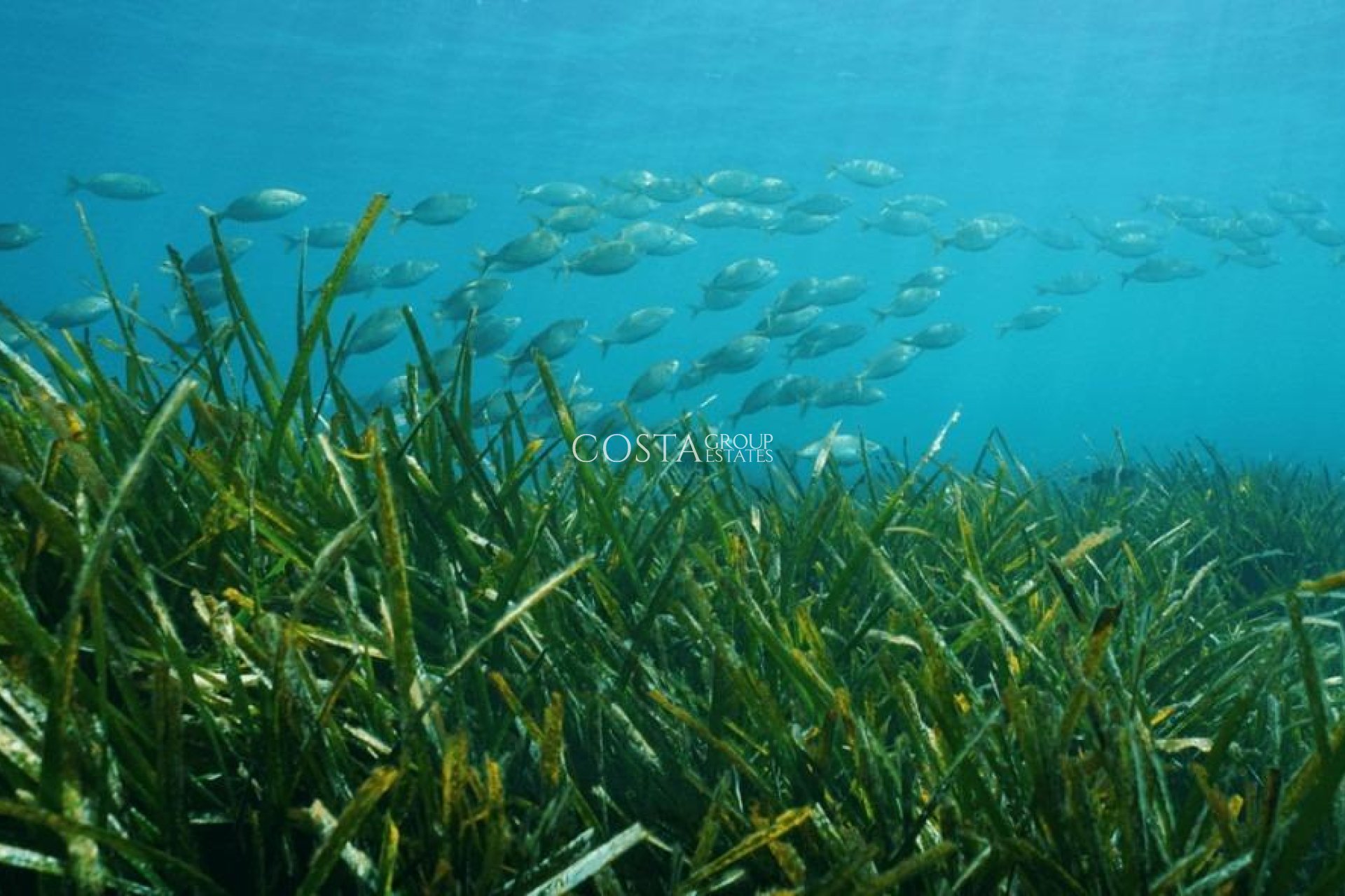 New Build - Villa -
Benissa