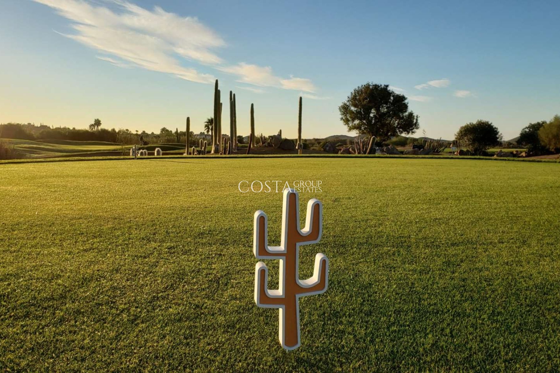 New Build - Villa -
Cuevas del Almanzora - Villaricos