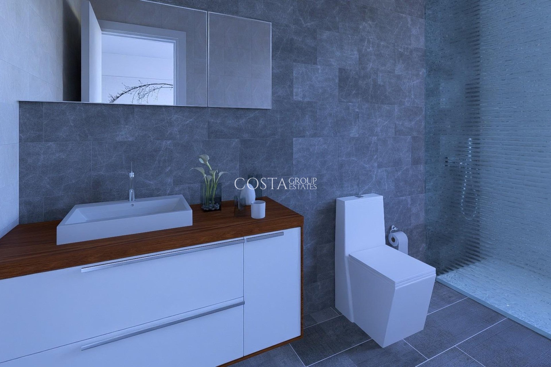 New Build - Villa -
Daya Nueva