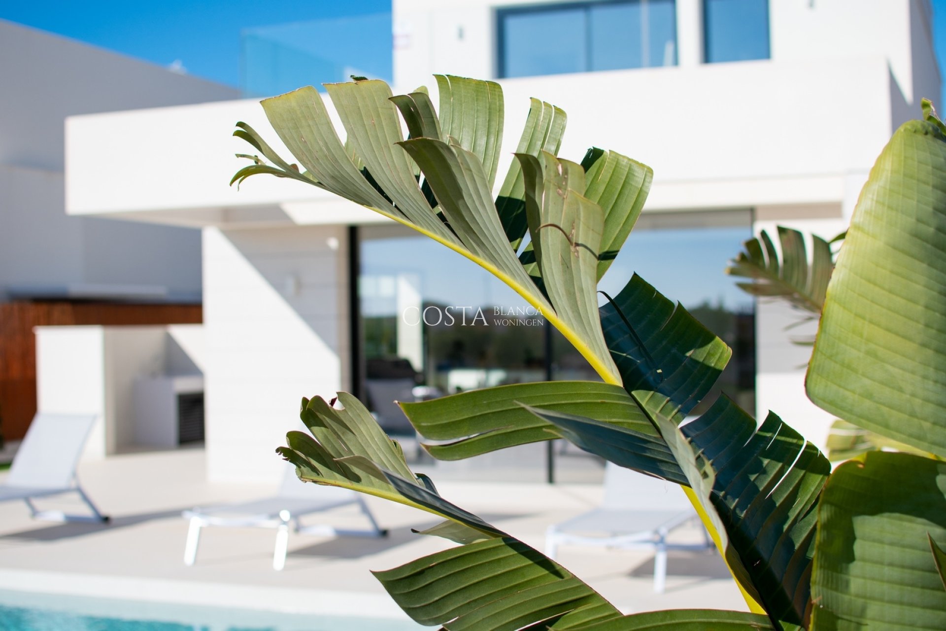 New Build - Villa -
Los Montesinos - La Herrada