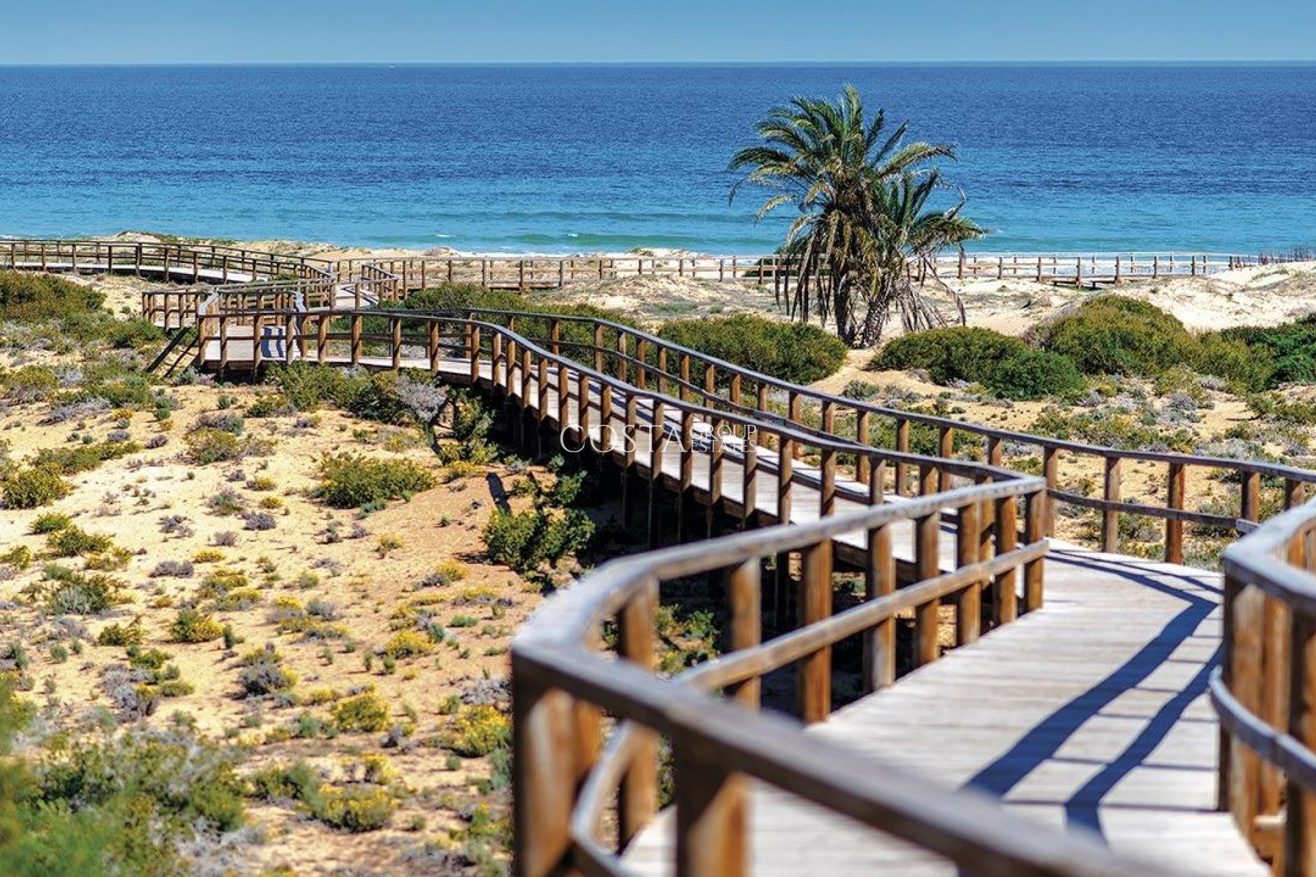 Nieuwbouw Woningen - Apartments -
Monforte del Cid