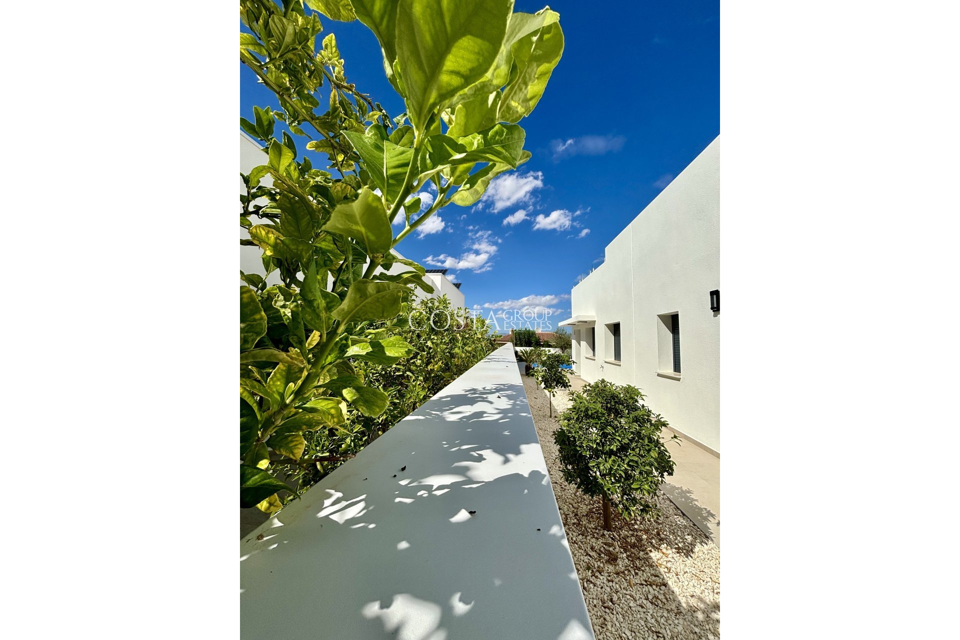 Nieuwbouw Woningen - detached -
Benijofar