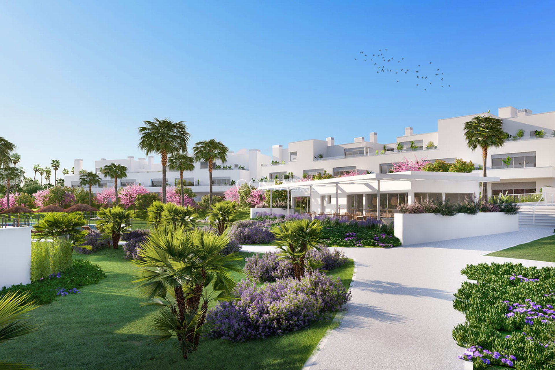 Nouvelle construction - ground-floor -
Estepona