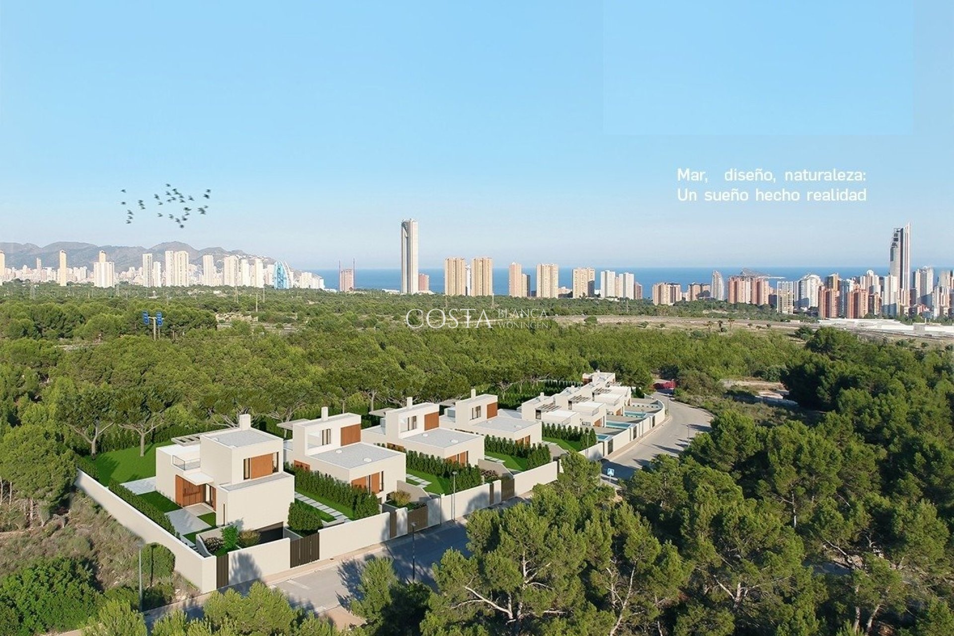 Nouvelle construction - Villa -
Finestrat
