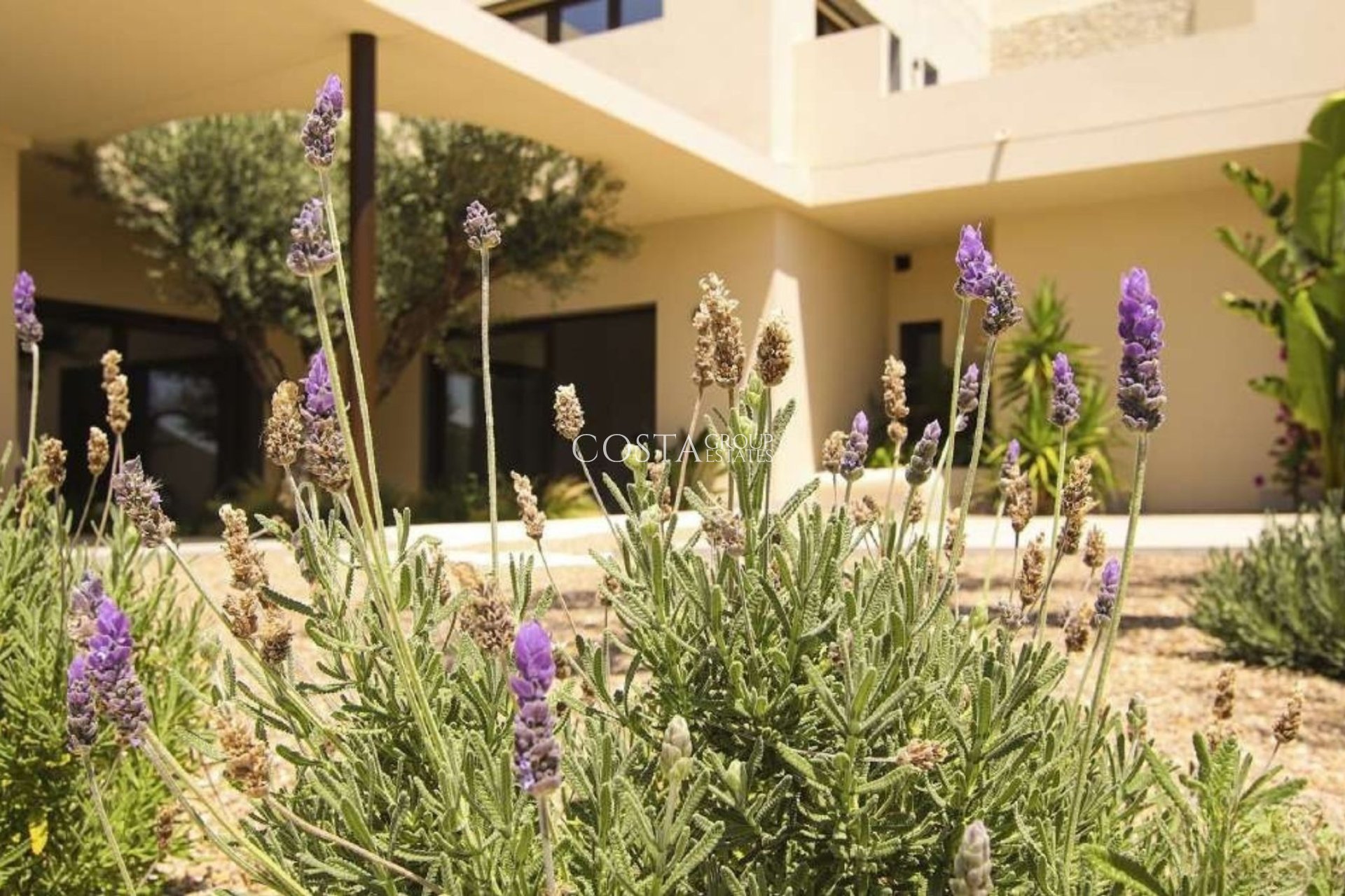 Nouvelle construction - Villa -
La Marina
