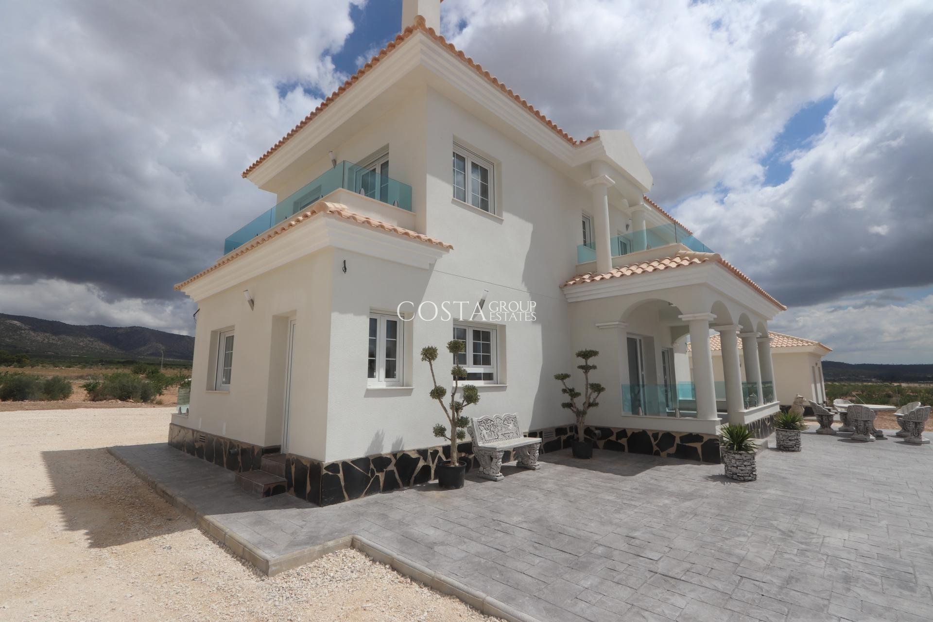 Nouvelle construction - Villa -
Pinoso