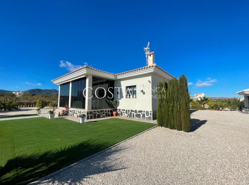 Nouvelle construction - Villa -
Pinoso