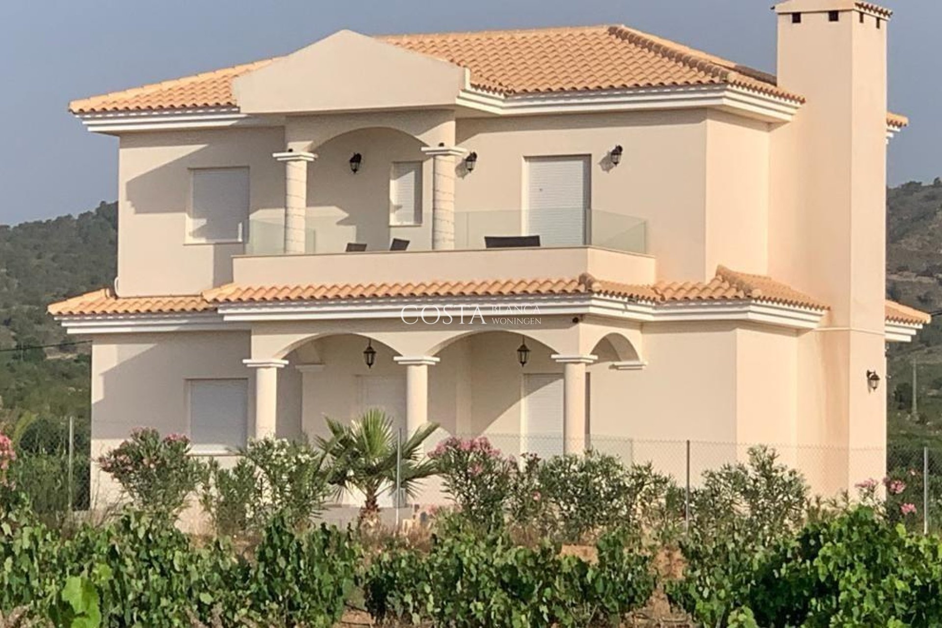 Nouvelle construction - Villa -
Pinoso