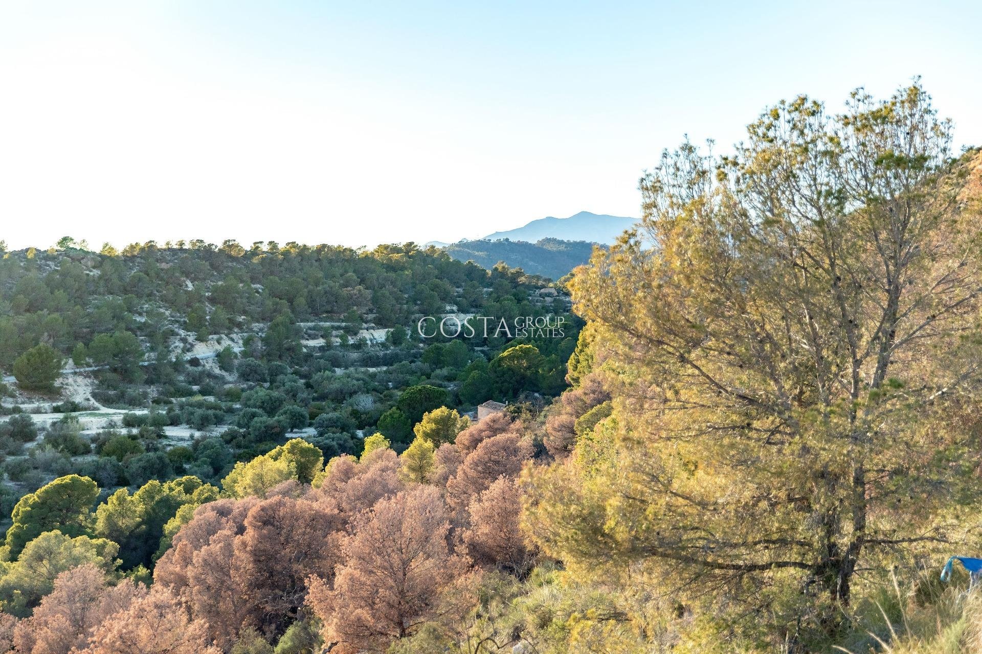 Nowy budynek - Apartments -
Finestrat