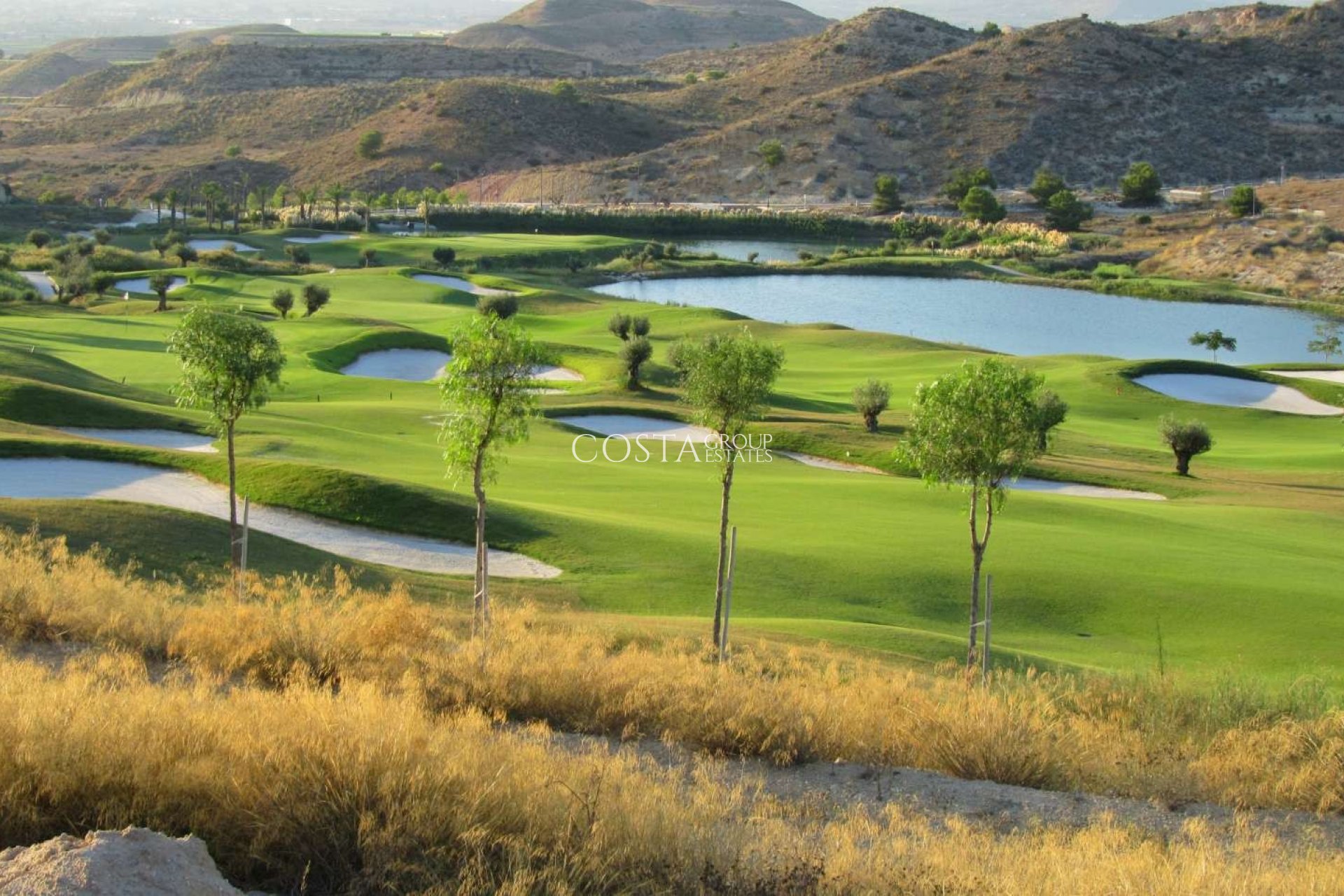 Nowy budynek - Apartments -
Monforte del Cid