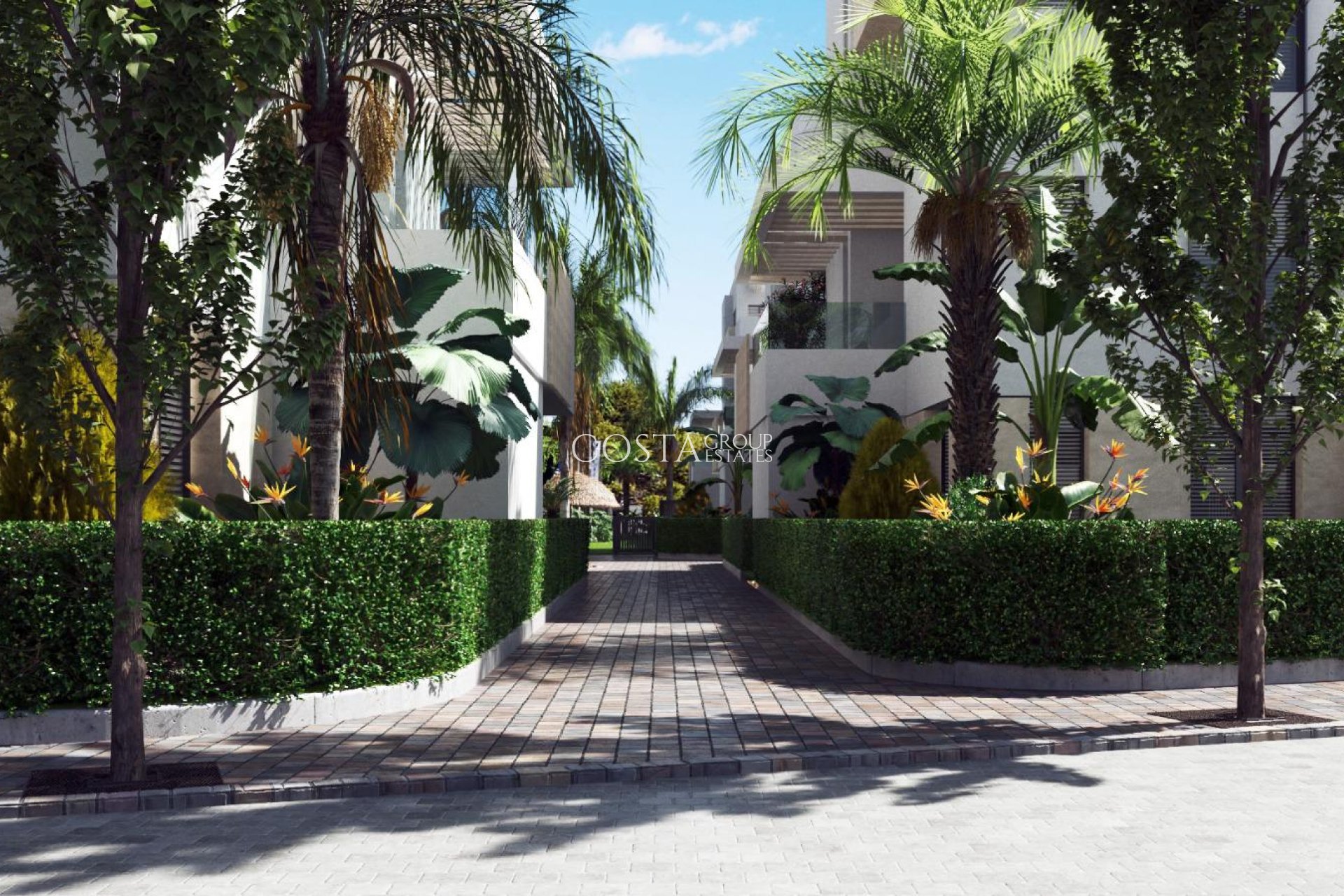 Nowy budynek - Apartments -
Santa Rosalia