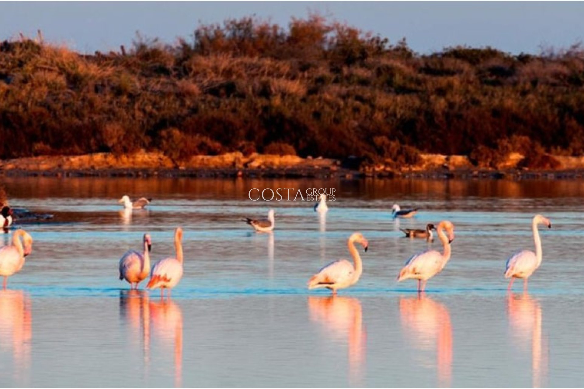 Nowy budynek - detached -
San Pedro del Pinatar - San Pedro Del Pinatar