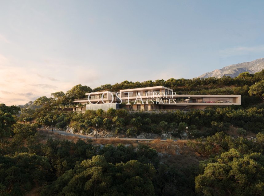 Nowy budynek - Willa -
Montemayor