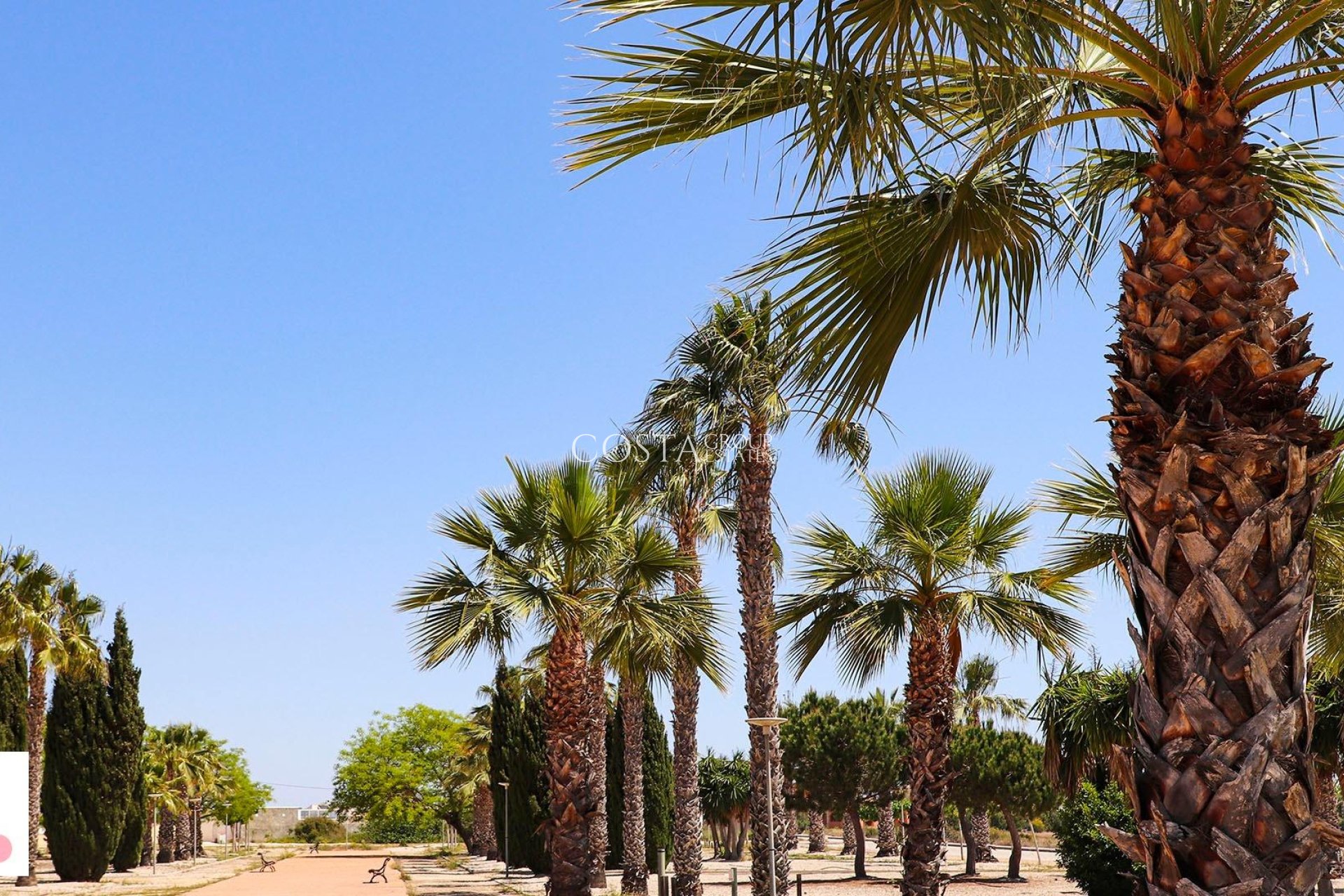 Nowy budynek - Willa -
San Fulgencio - La Escuera