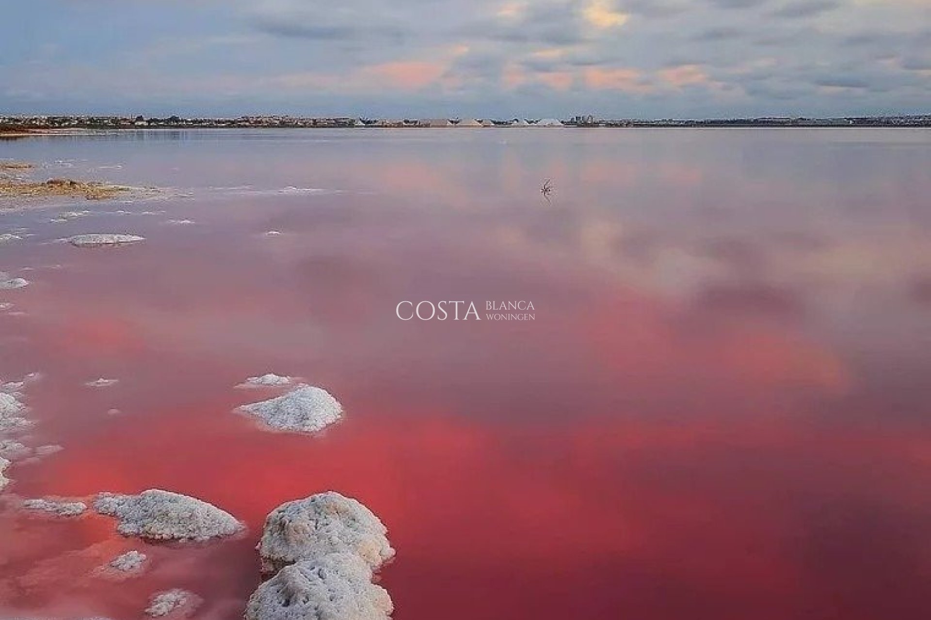 Nowy budynek - Willa -
Torrevieja - Lago Jardin