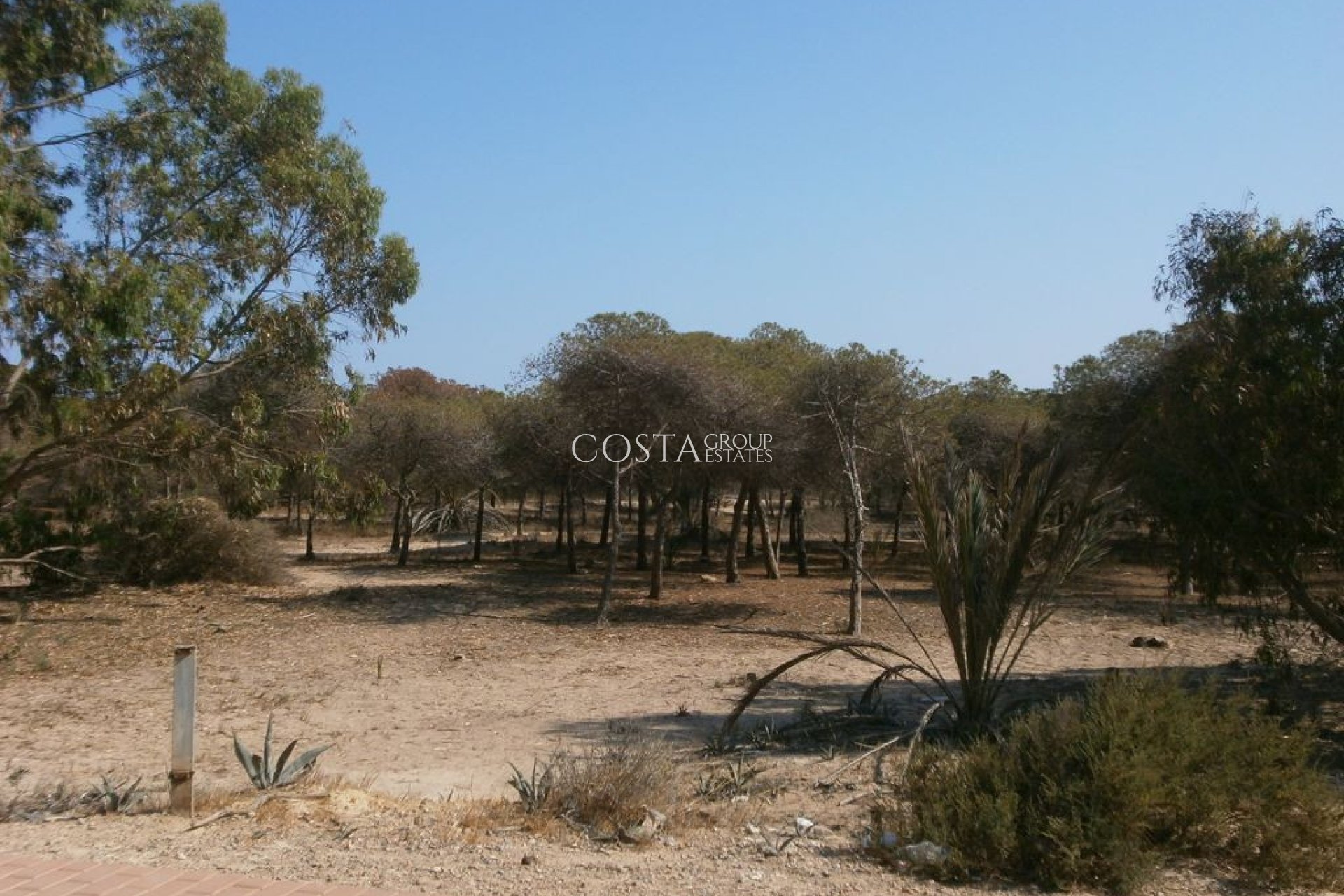 Odsprzedaż - Apartments -
Guardamar del Segura - Guardamar del Segura Centro