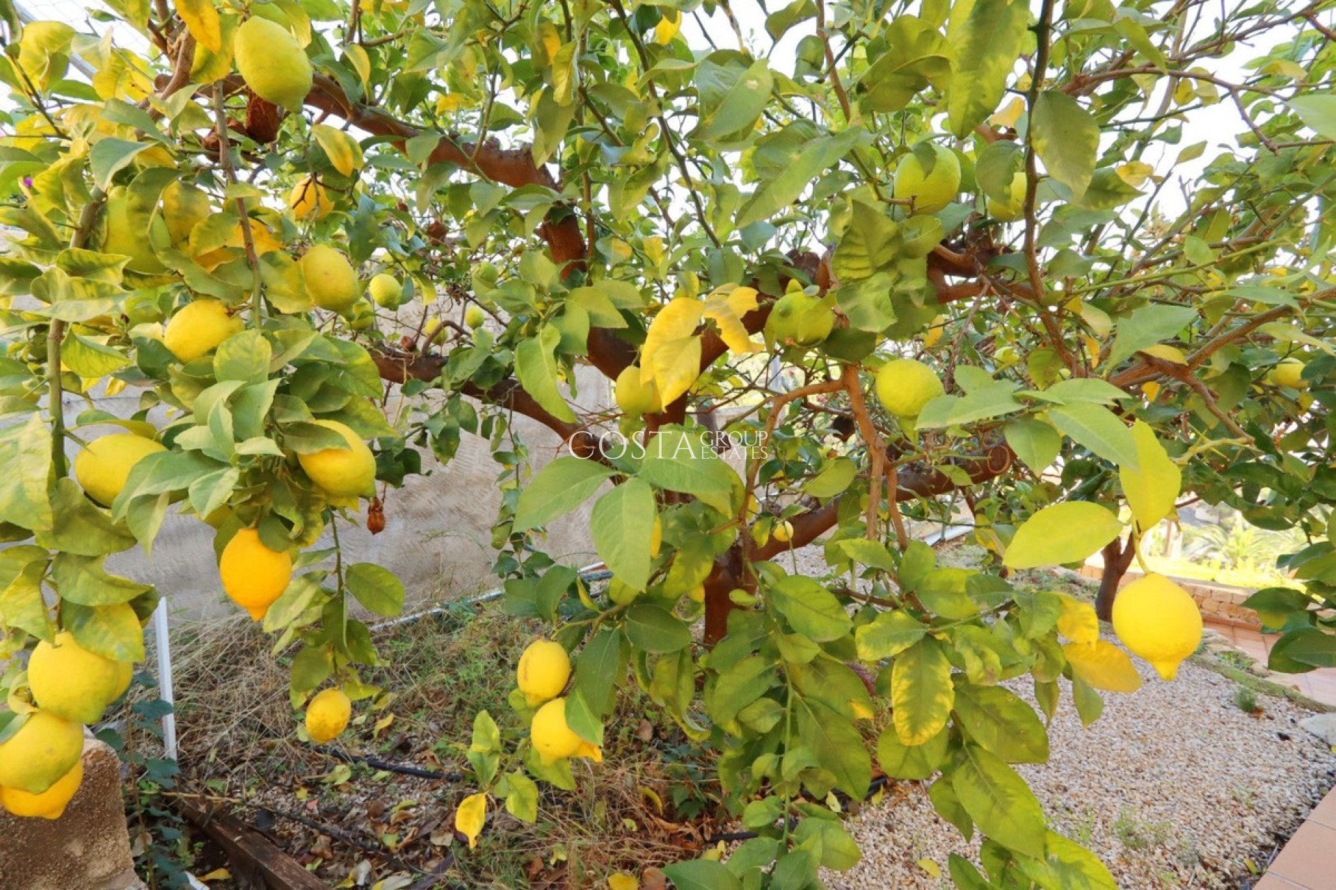 Odsprzedaż - Willa -
Altea - Altea Centro