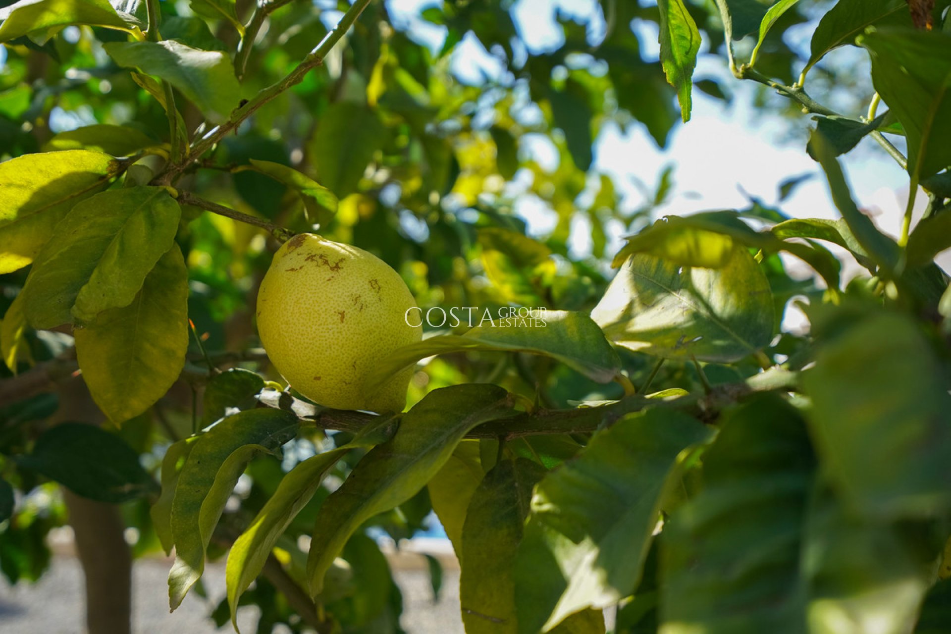 Odsprzedaż - Willa -
Benissa - Benissa Centro