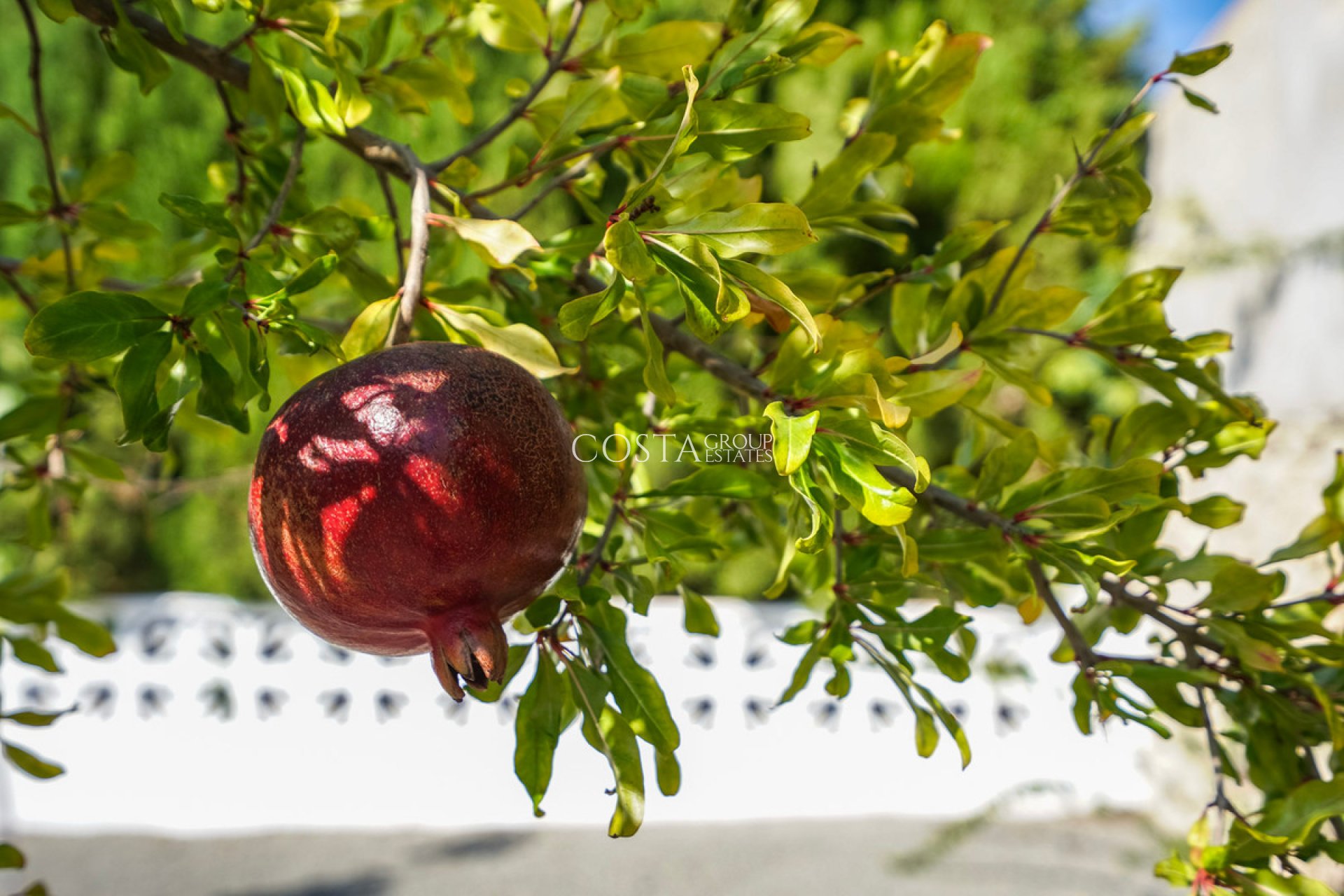 Odsprzedaż - Willa -
Benissa - Benissa Centro