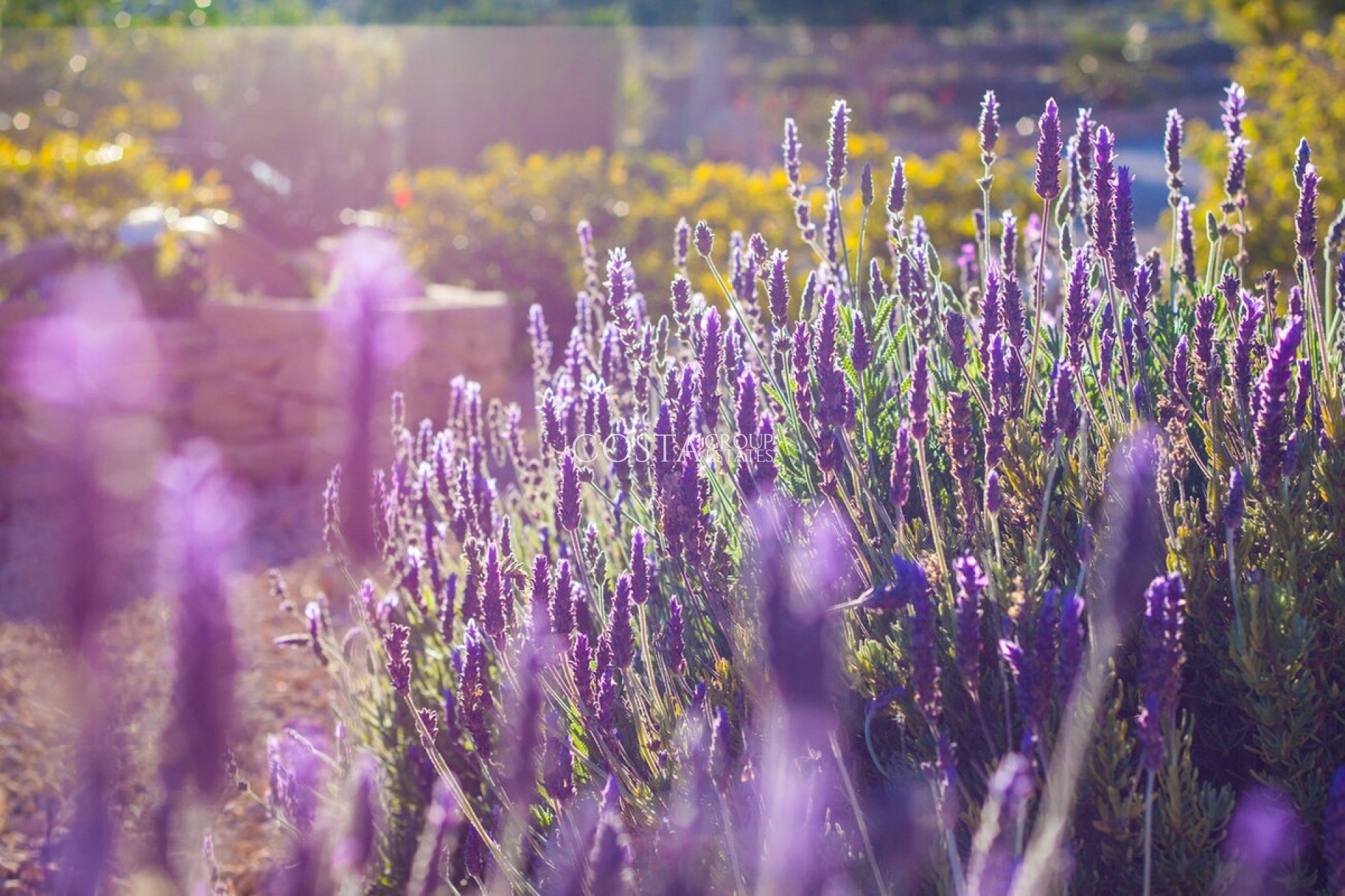 Odsprzedaż - Willa -
Benissa - Benissa Centro