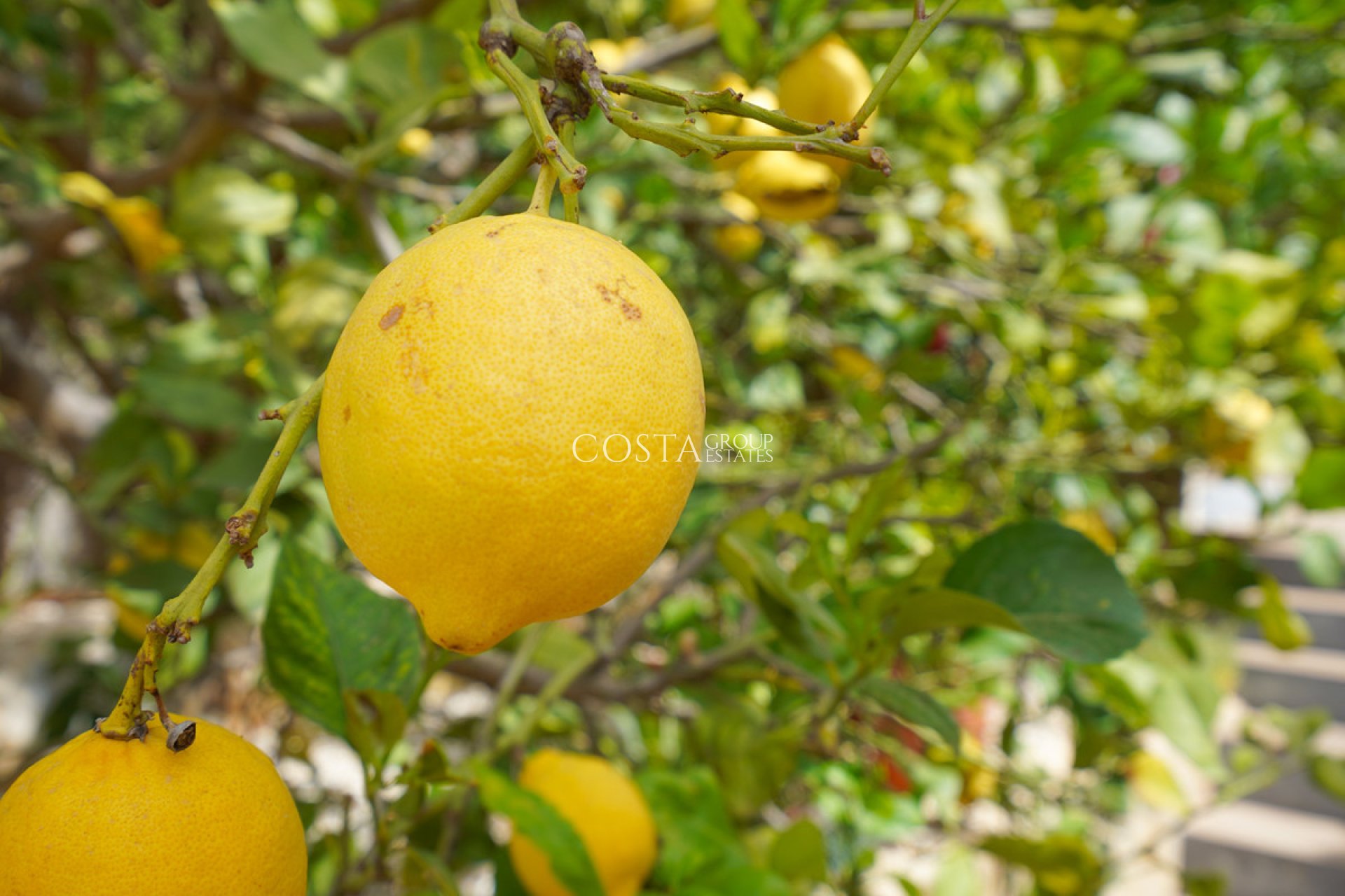 Odsprzedaż - Willa -
Benitachell - Benitachell Centro