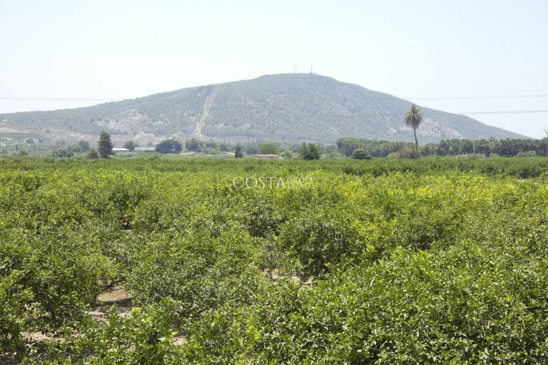 Odsprzedaż - Willa -
Bigastro