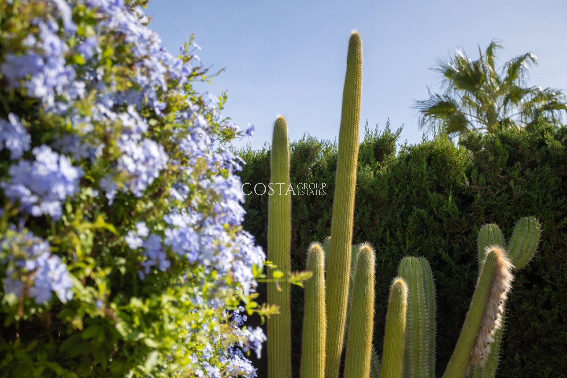 Odsprzedaż - Willa -
Cartagena - Playa Honda